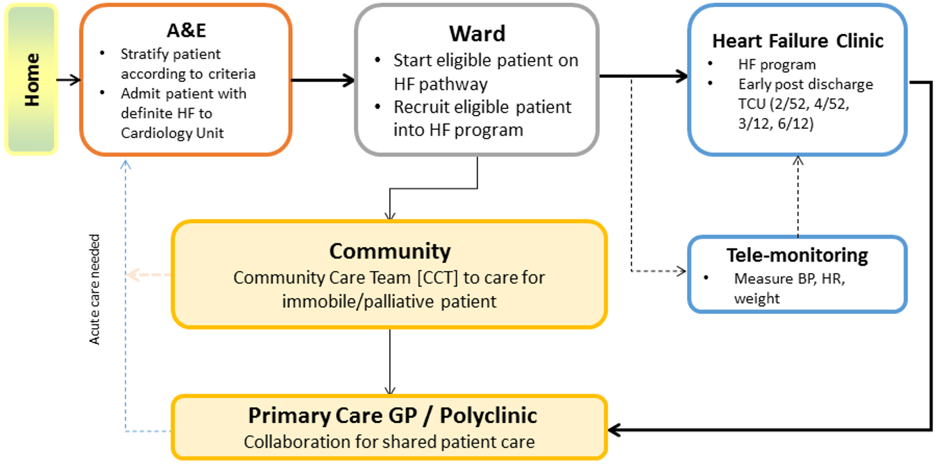 Heart Failure Patient Journey Map